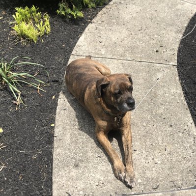 RickHaynesLEHS's tweet image. #NewProfilePic