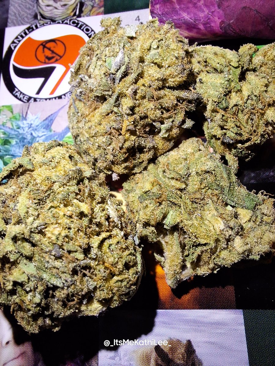 _ItsMeKathiLee_'s tweet photo. Let start this day off the right way.
Fixing to stuff a gummy bear rose palm with some amazing @NativeLifeB Pink Runtz. Hope everyone is having a wonderful morning so far, #StonerFam

#ThirstyThursday #thursdaymorning 
#KryptoDelta #KryptoDeltaFamily #ReachYourDelta #THCA #Ambassador #MasonBriteAmbassador #UBUNG #VibeTribe #Hemp #BudGnxFam #mmemberville #CannabisCommunity #420community #420Fam #CannaLand #itsalifestyle #itsavibe