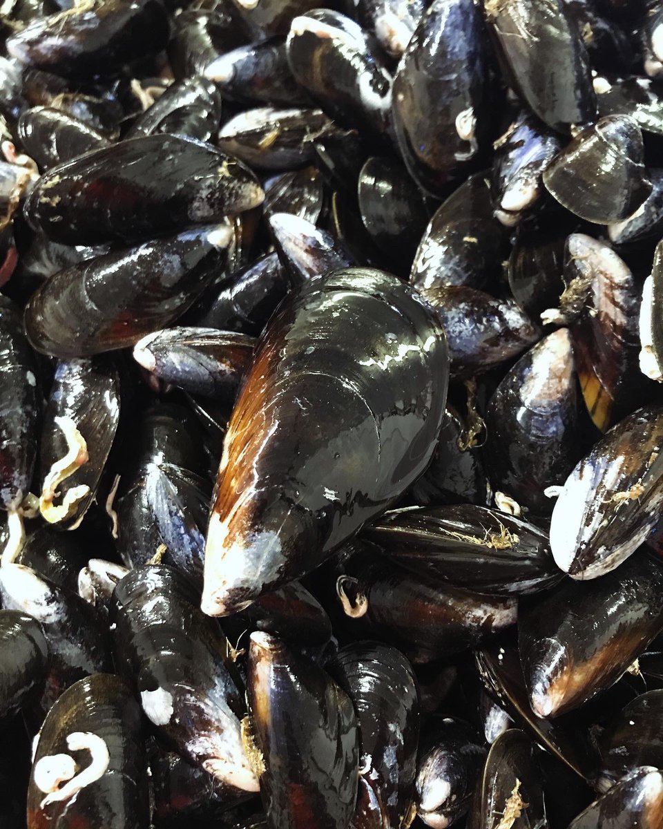 Shetland Select tweet media