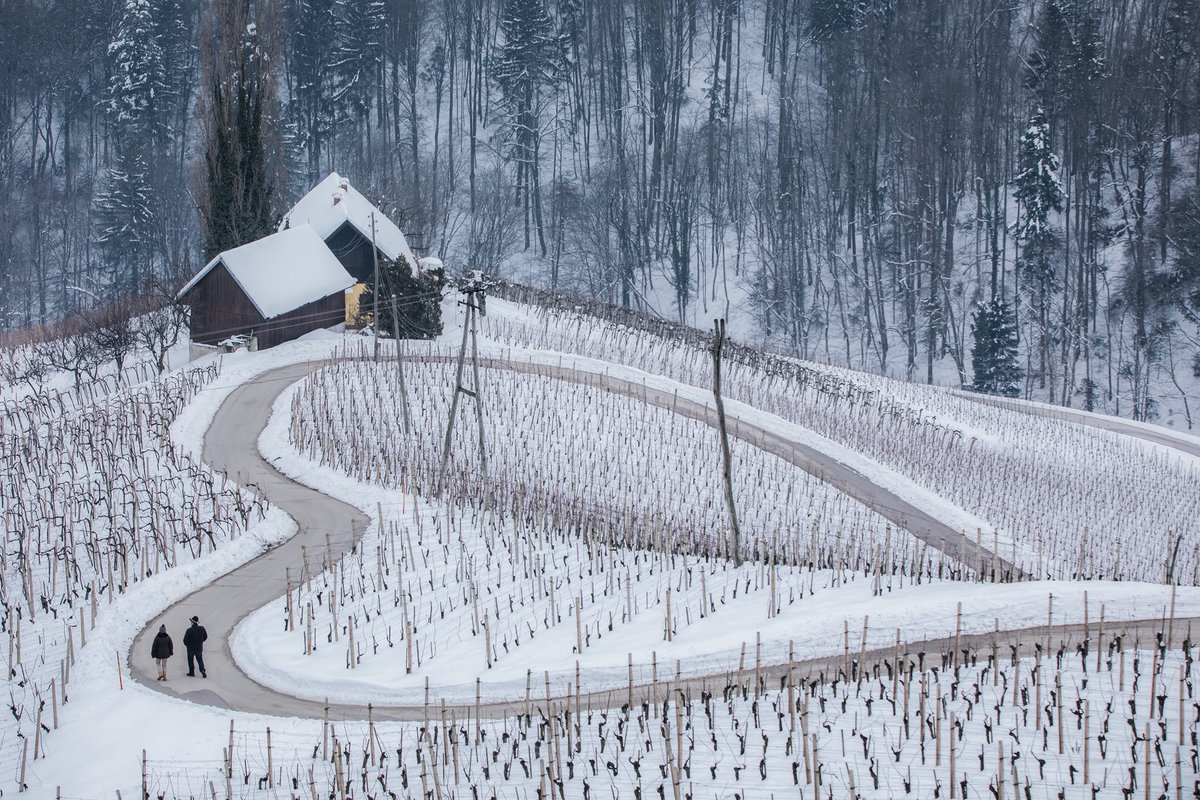 Heart road. 💙 #winter #snow #heartroad #heart #road #couple #spicnik #slovenskegorice #slovenianhills #maribor #slovenia #slovenija #ifeelslovenia #landscape #nature #travel #natgeo