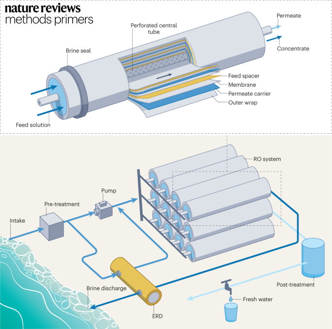 Nature Reviews Methods Primers (@methodsprimers) on Twitter photo Discover the transformative power of pressure-driven membrane desalination in our latest Primer. This technology is vital for providing clean drinking water, combating water scarcity and ensuring a sustainable futuređź’§ @EnvWang <a href="/EpszteinLab/">Razi Epsztein</a> <a href="/wang_zhangxin/">Zhangxin Wang</a>
go.nature.com/3wiVlSv Discover the transformative power of pressure-driven membrane desalination in our latest Primer. This technology is vital for providing clean drinking water, combating water scarcity and ensuring a sustainable futuređź’§ @EnvWang <a href="/EpszteinLab/">Razi Epsztein</a> <a href="/wang_zhangxin/">Zhangxin Wang</a>
go.nature.com/3wiVlSv