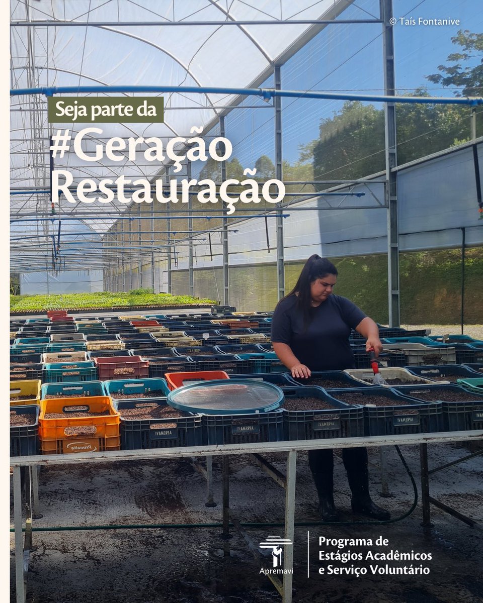 Apremavi's tweet photo. Você sabia que a Apremavi mantém um programa de Estágios e Serviço Voluntário? 🌿

Para saber mais é realizar sua inscrição, visite a página do programa: 
https://t.co/F1NmUXzEfG https://t.co/GE8Er2PFID