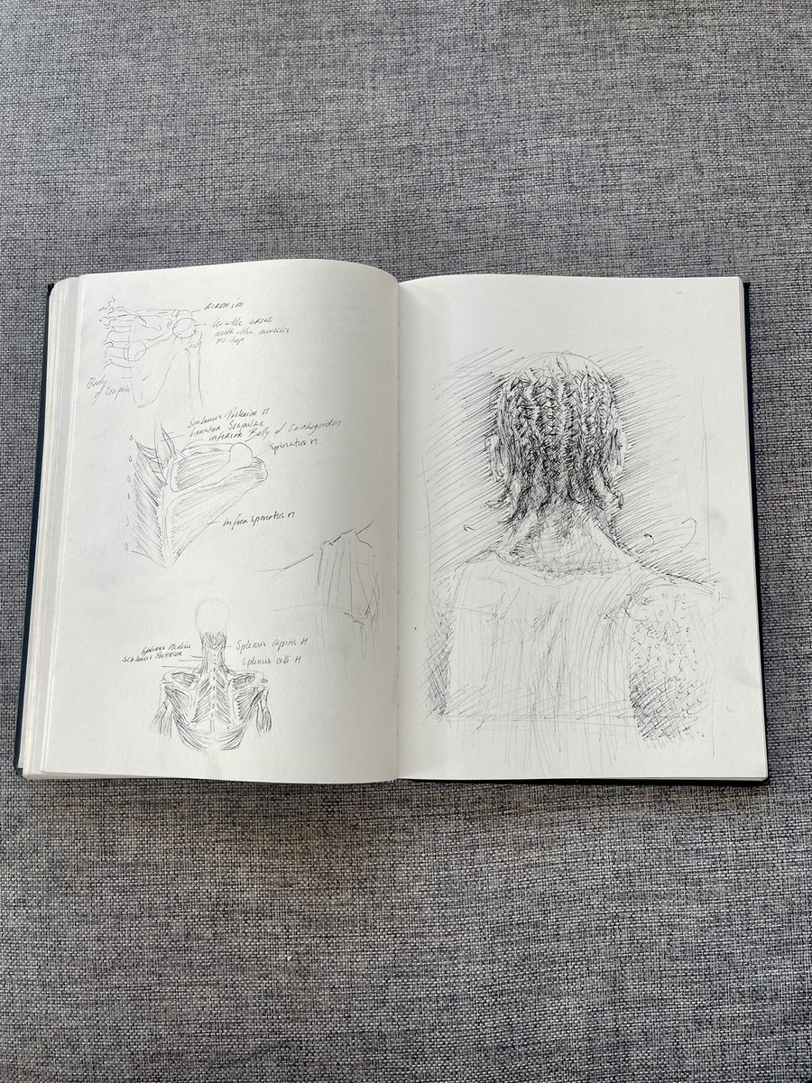 When you wake up, do you remember your dreams? 💭🏀