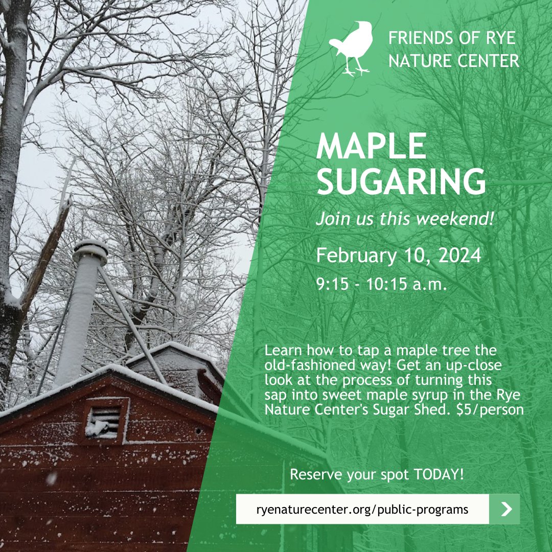 RyeNatureCenter's tweet photo. Join us this weekend for maple sugaring and see what other exciting programs we have coming up! https://t.co/iEQeoP0put https://t.co/W5Z1tdgsm0
