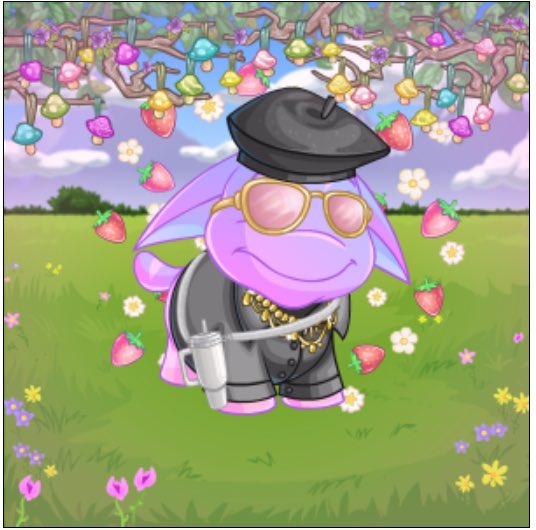 drawmango's tweet photo. 2024 is the year of my neopets brain rot peep my poogle and his fit https://t.co/Xrw0mZMtsR