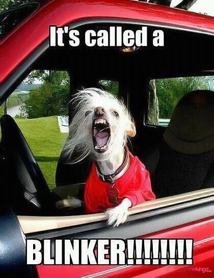 If you don't know if this applies to you, then it probably applies to you. #UseBlinkers #FloridaDrivers