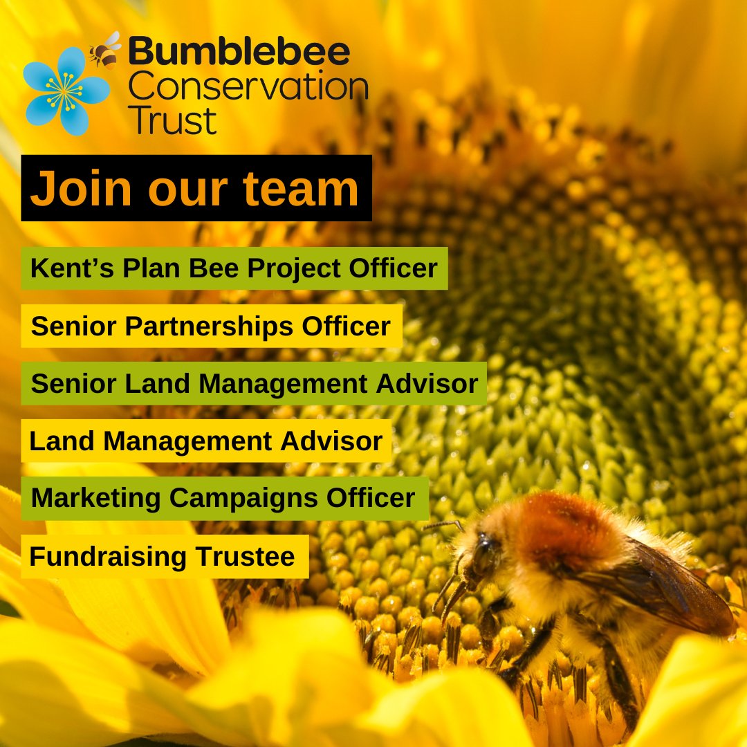 New year, new job? 👀 We have six exciting positions in a variety of roles across the country🐝 Make a beeline for our vacancy page for the full details 👉🏽 ow.ly/EJ0r50Qye0g