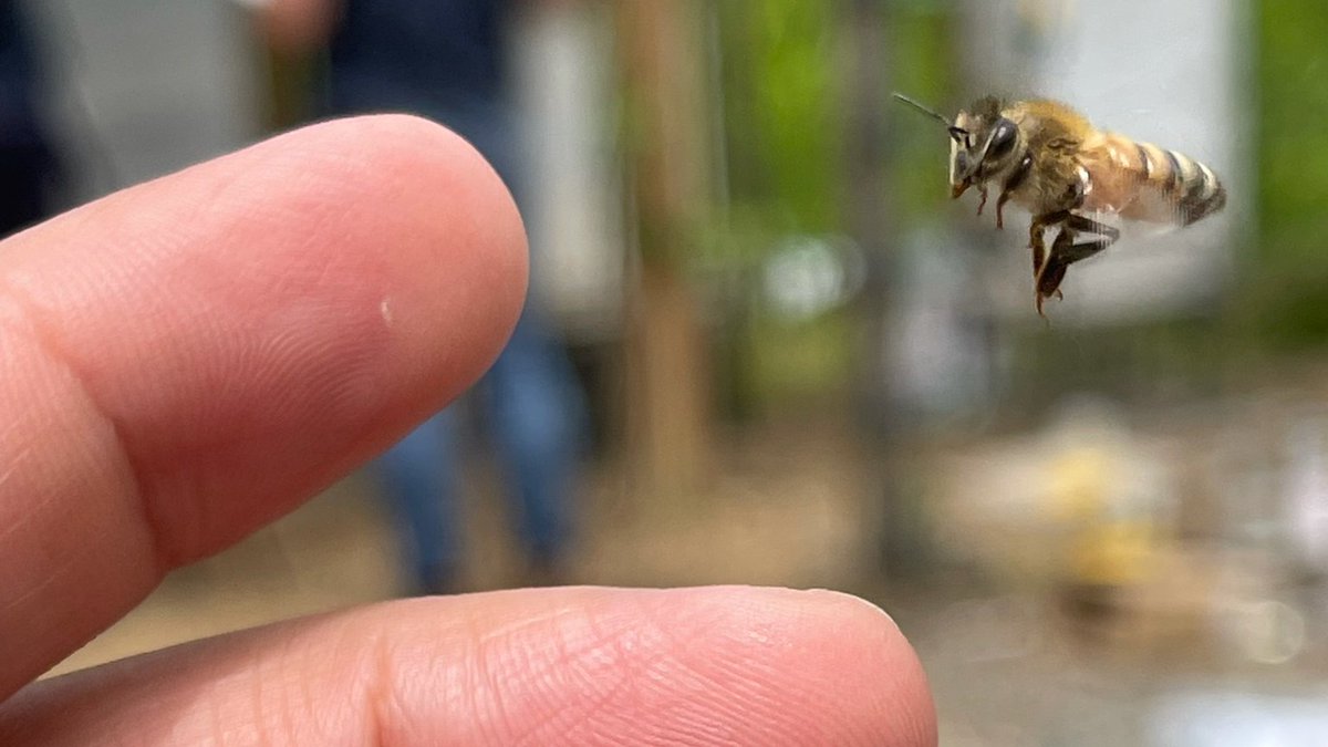 sunvaraco's tweet photo. A gentle touch invites nature's delicate dance. https://t.co/qJ6RZ1JAKQ