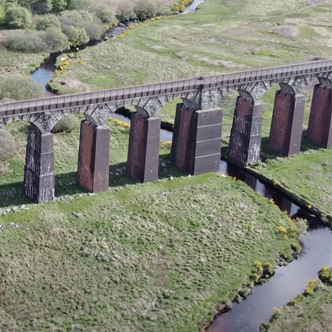 Galloway NPA tweet media