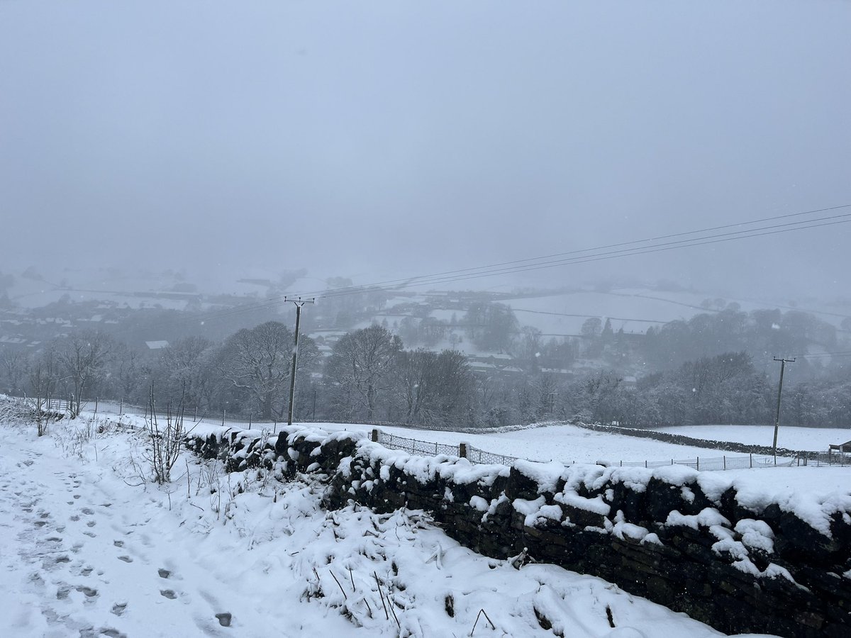 Tried to drive to perform a wedding. 
Turned back. 
Walked half an hour back uphill. 
Did the wedding on my own.
Walked back down the hill. 
Fell over. 
Was chased by a dog.

Still completely love my job ❤️