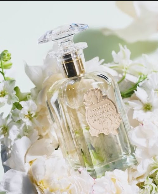 NowSmellThis on X: "Posted at NST: Houbigant Petales de Magnolia ~ new  fragrance https://t.co/myESgCbR28 https://t.co/HEccVqUUAN" / X