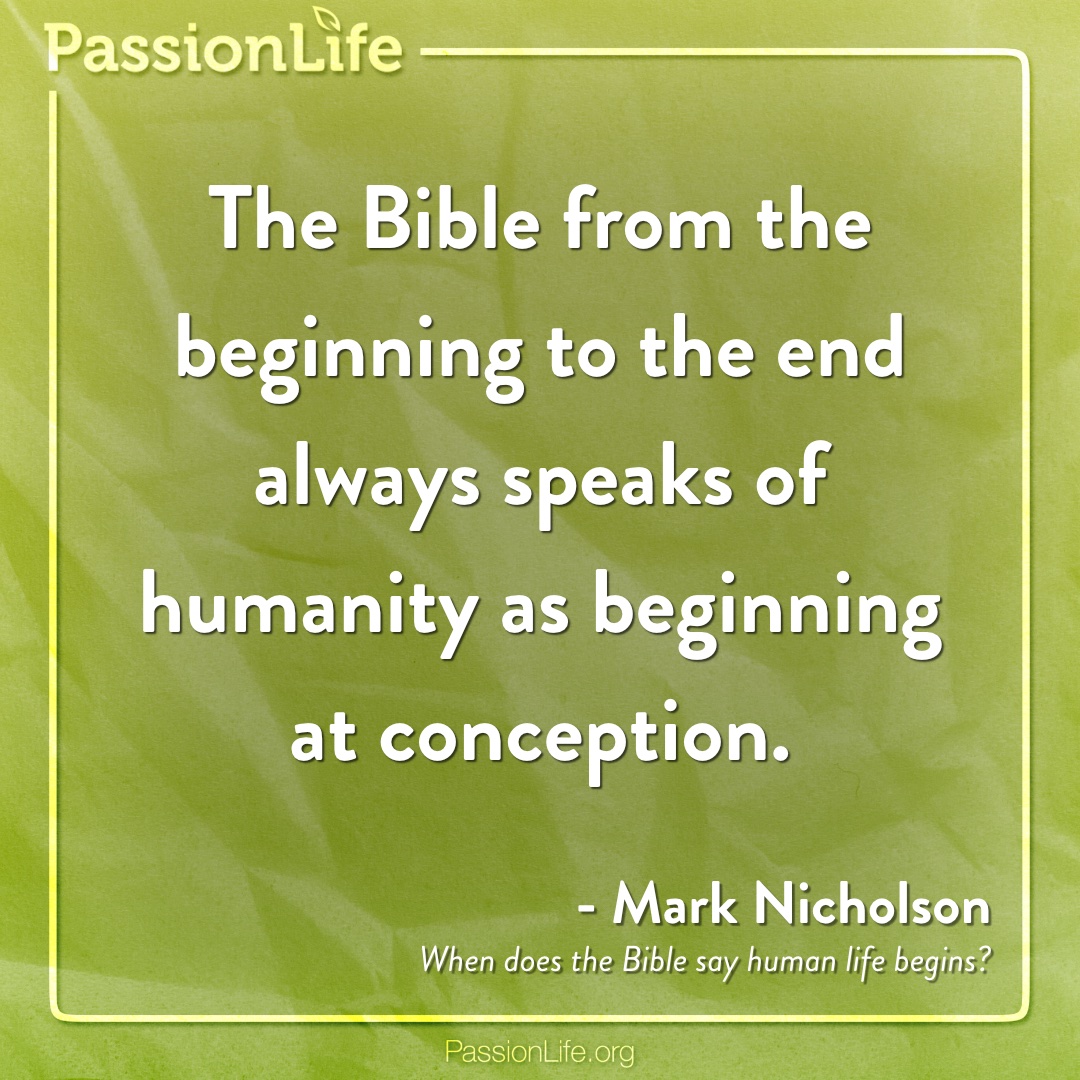 When does the Bible say human life begins?

passionlife.org/when-does-the-…

#life #prolife #abortion #baby #babies #women #shoutyourabortion #abortionrights #righttolife #healthcare #babieslivesmatter #abortionishealthcare #plannedparenthood