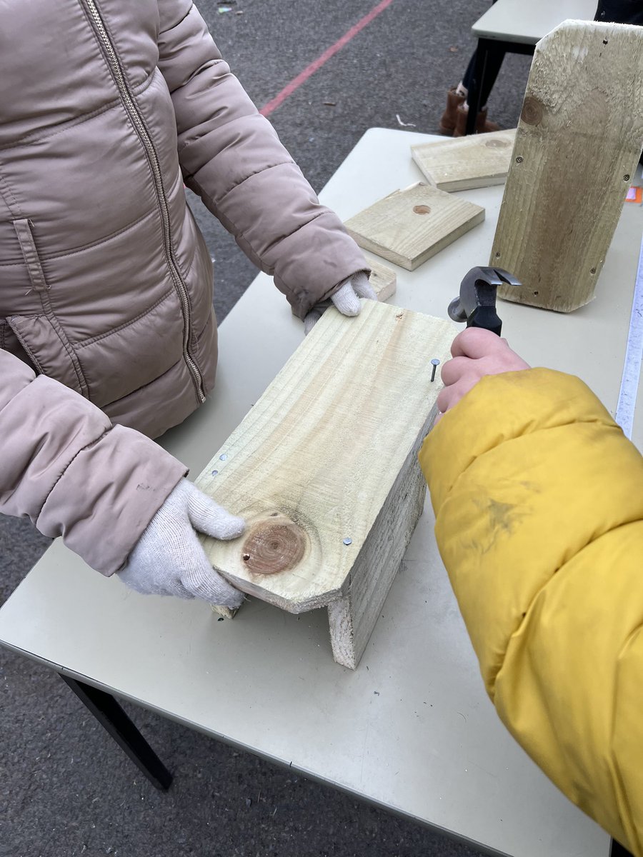 Go Wild Scotland Ranger tweet media