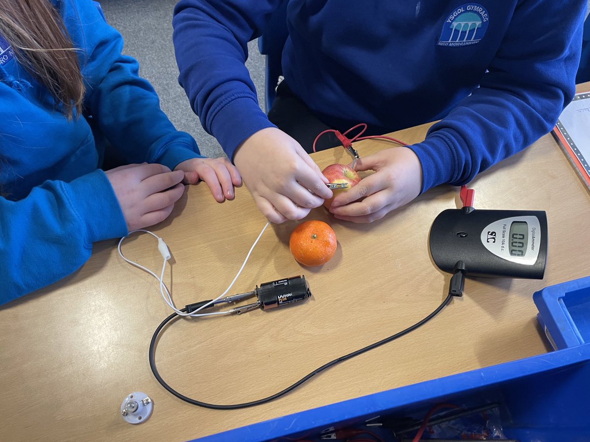 ⚡️Blwyddyn 6 yn arbrofi gyda bwyd yn dargludo trydan.🍎🍋
⚡️Year 6 experimenting with food that conduct electricity.🍎🍋