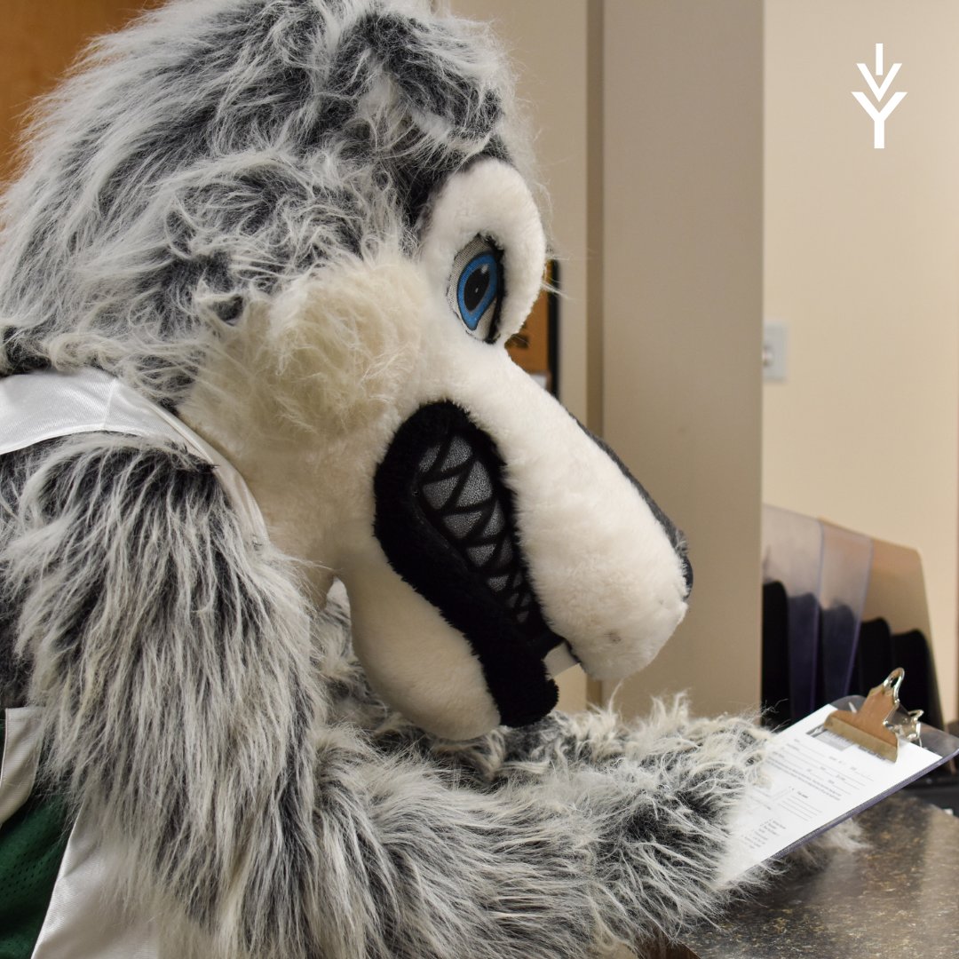 laf_ivytech's tweet photo. Toothache? Alpha visited our Dental Assisting Clinic for an exam, x-rays & more, all with a smile! 🦷✨ Now open for appointments: 📞 765-269-5197. For more info, reach out to Joy Ratcliff (jratcliff7@ivytech.edu) or Ashley Winchester (awinchester2@ivytech.edu). #AlphaAdventures https://t.co/YTkjMPgrFY