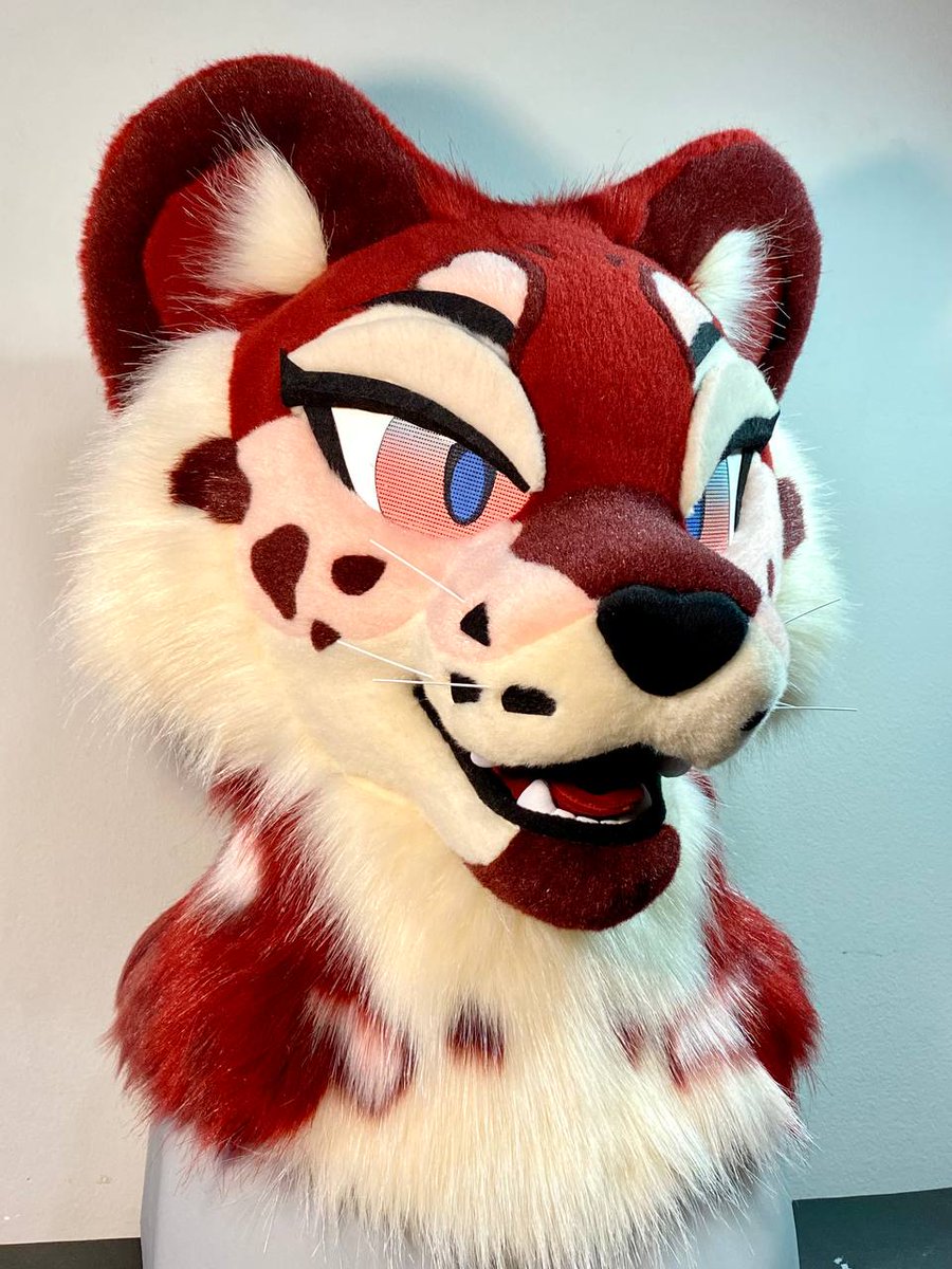 AlphaLyncis's tweet photo. This leopard is ready for a home!  Who wants to be their Valentine?💘

The info sheet with extra photos and close-ups will be linked below!  Sharing is always super appreciated!! https://t.co/qxQQH8yBQY