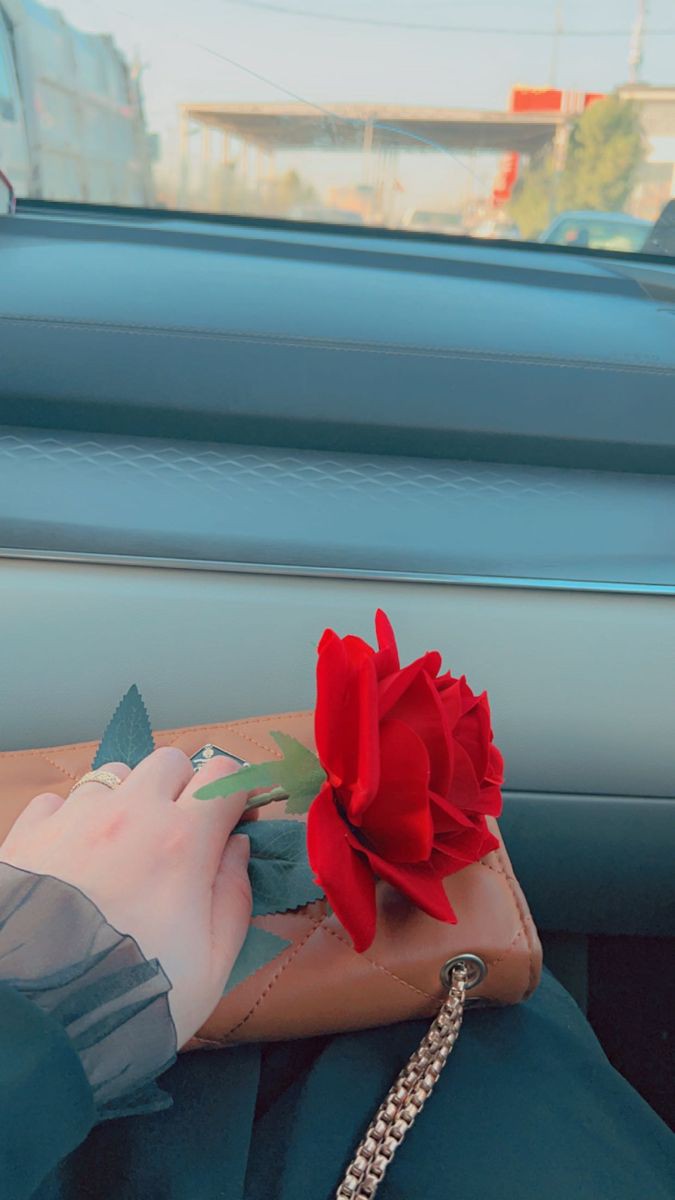 تأثير رؤيتي لك في منامي 
في غياهيب الأحداث المراكمه 
من يومي يشبه تأثير كل الممنوعات على هذه الأرض,يشبه الحقيقه من الأشياء
 التي ينتظرها الشخص ويموت شغفاً لها

#نرجسيات