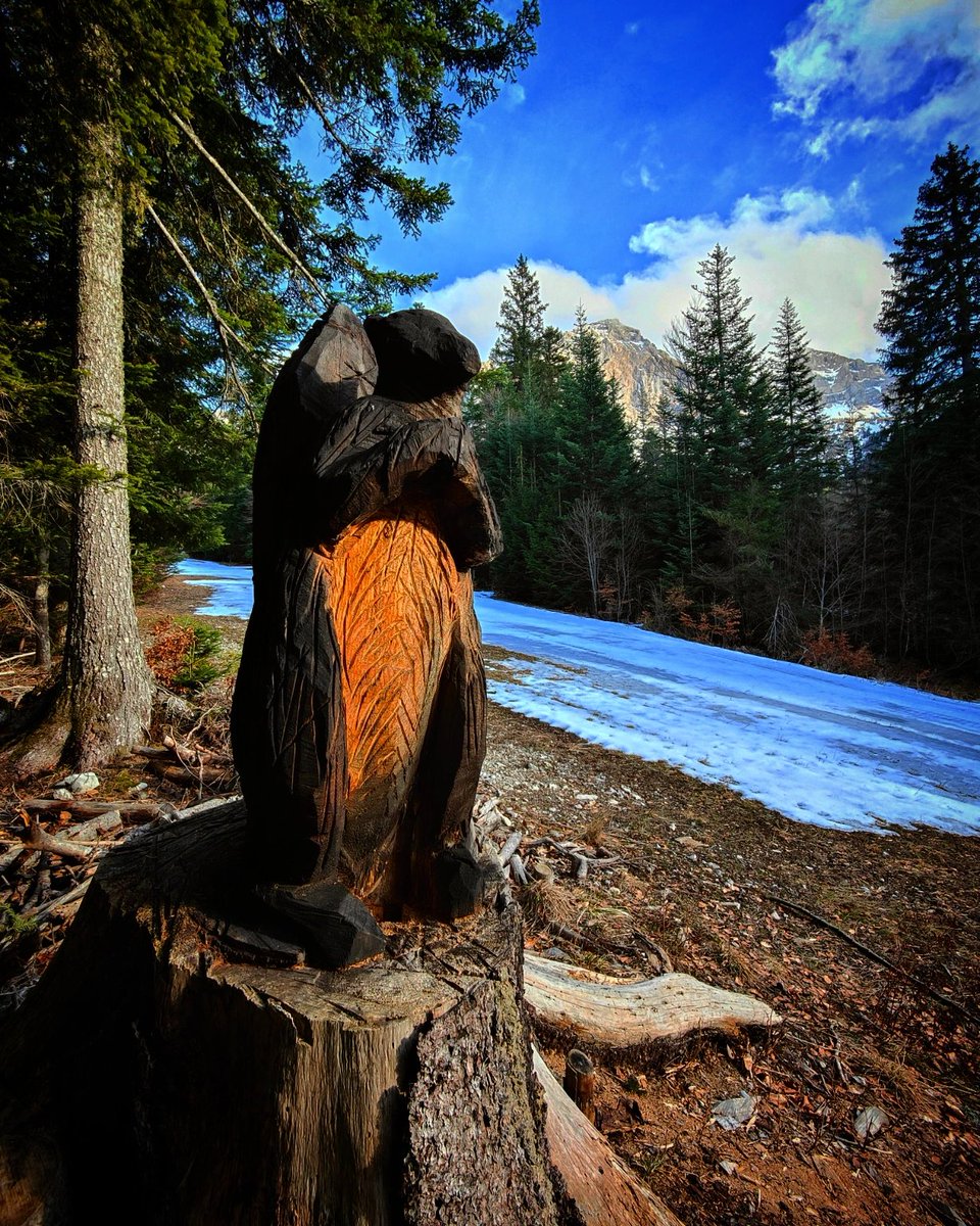 sponsorstshop's tweet photo. Photo du jour 🤩🐿️✨🏔️ #montagne https://t.co/IG3f7VOJ8J