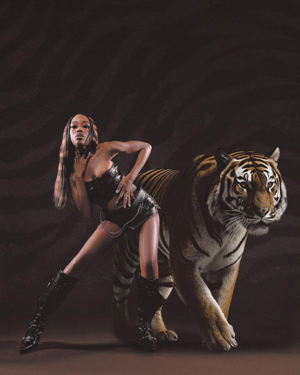 africanglo's tweet image. ON THE PROWL 🐅🐾