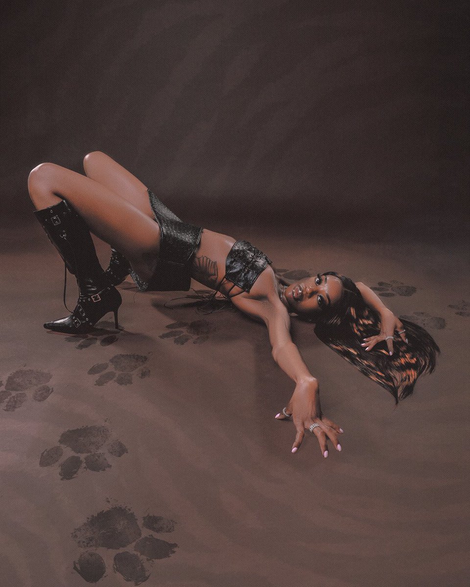 africanglo's tweet image. ON THE PROWL 🐅🐾