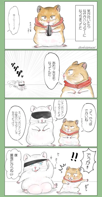 ケモ?五悠
ちょこっと背後注意かも⚠️ 