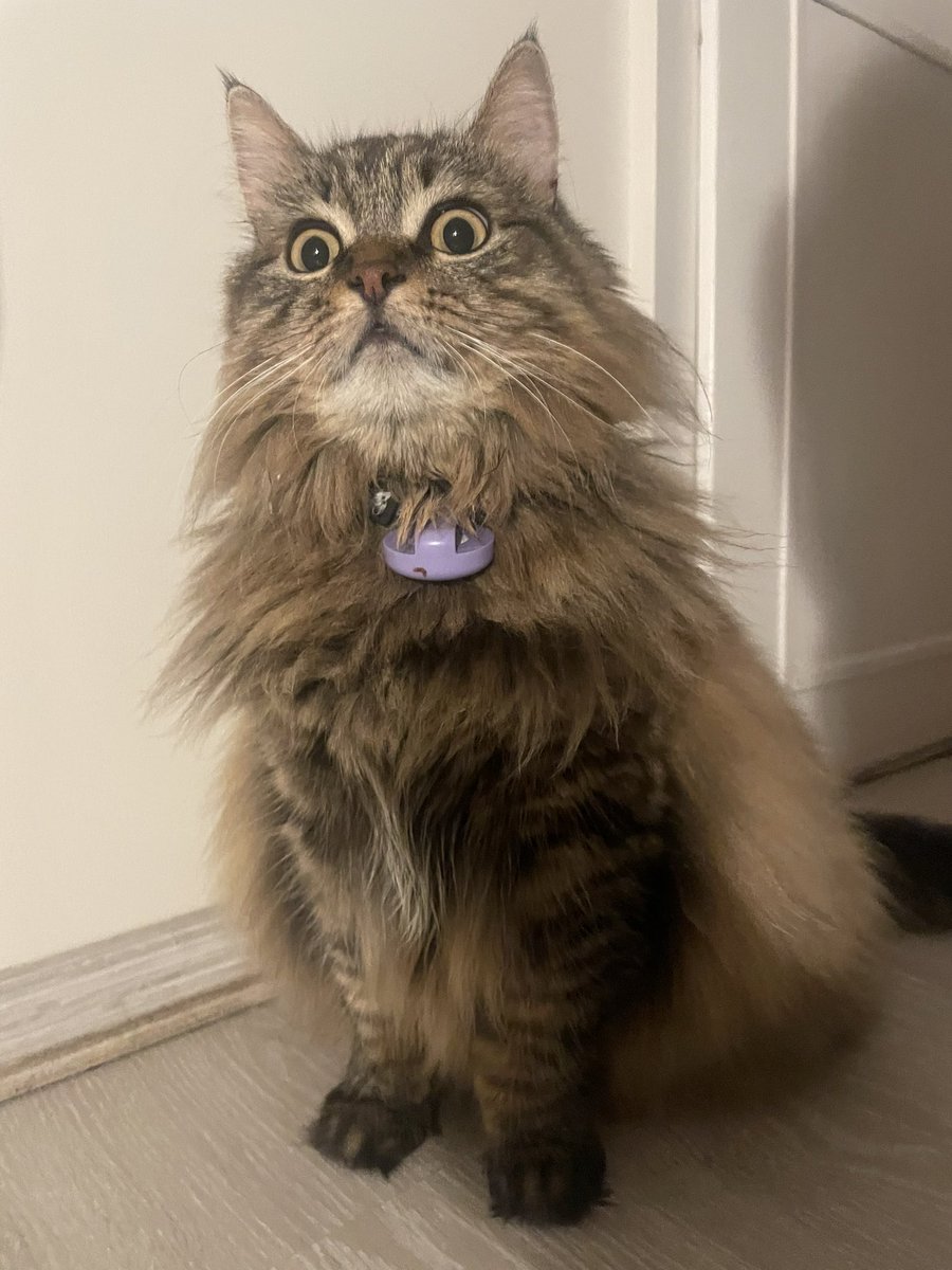 Neeeeeee olamas aman allakım