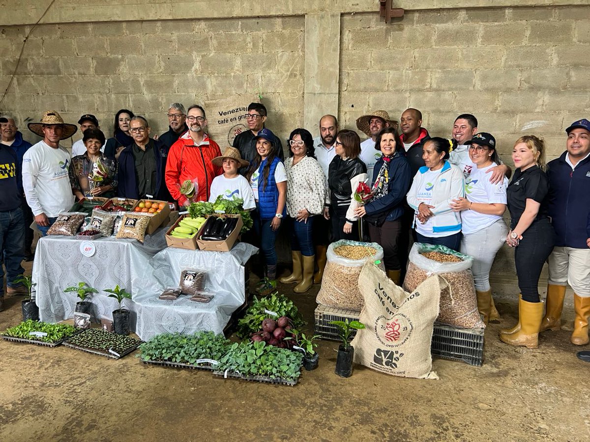 Gabrielasjr's tweet photo. Recorrido del Relator Especial de la ONU sobre el derecho a la alimentación Dr. Michael Fakhri, por las experiencias agrícolas que integran la Alianza Científico Campesina del estado Miranda.

Desde Pozo de Rosas el trabajo de campesinos y campesinas se manifiesta en la cosecha de hortalizas, papas y café. Una experiencia de construcción colectiva impulsada por el Gobierno Bolivariano para fortalecer ls producción agrícola local y nacional.

#CienciaParaLaVida 
#SinEgoTransformamos

¡En Venezuela manda el Pueblo!