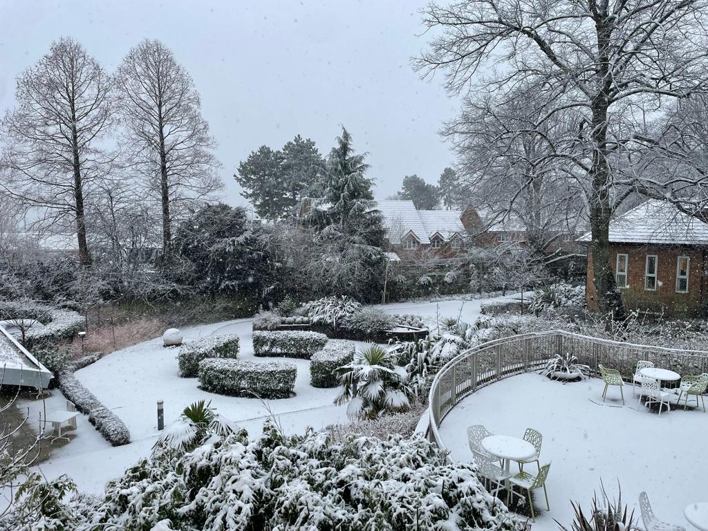Hospice Nature Watch (@hospicenatwatch) on Twitter photo Some beautiful #uksnow photos today from <a href="/StLukes_Sheff/">St Luke's Sheffield</a> #Gardens #NatHospiceWatch #STH4PC Thank you for sharing <a href="/LorraineOTsheff/">Lorraine West</a> Some beautiful #uksnow photos today from <a href="/StLukes_Sheff/">St Luke's Sheffield</a> #Gardens #NatHospiceWatch #STH4PC Thank you for sharing <a href="/LorraineOTsheff/">Lorraine West</a>