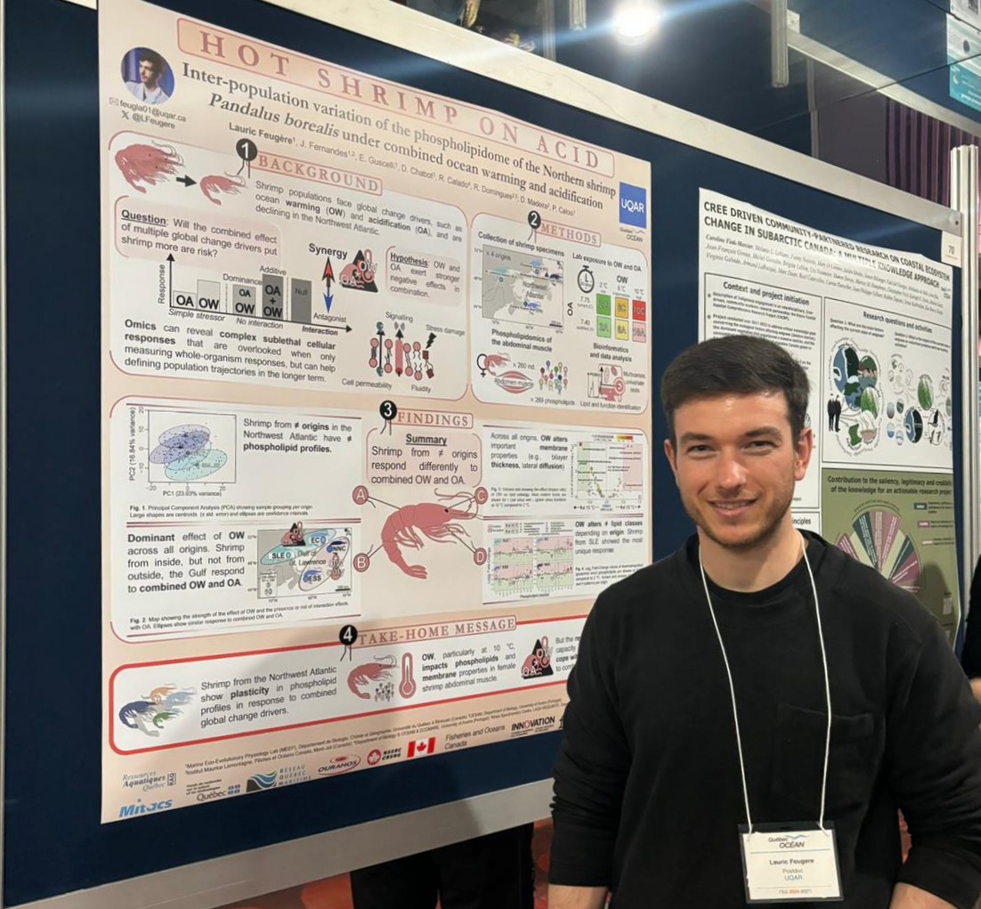 I had a fantastic time presenting a poster from our shrimp project at @QuebecOcean annual meeting. Many thanks to @PieroCalosi and all collaborators @DianaSMadeira @fernjoanafilipa