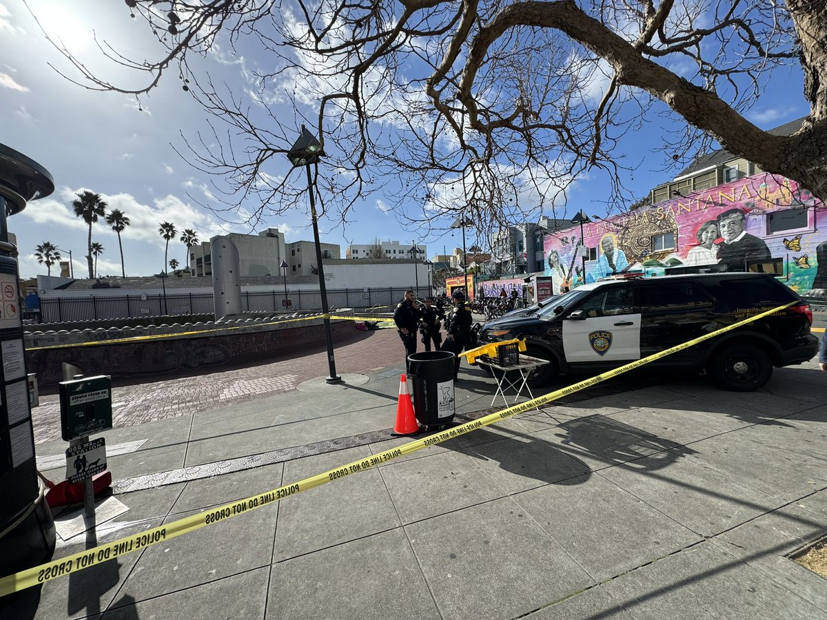 Thomas Schiavone tweet media