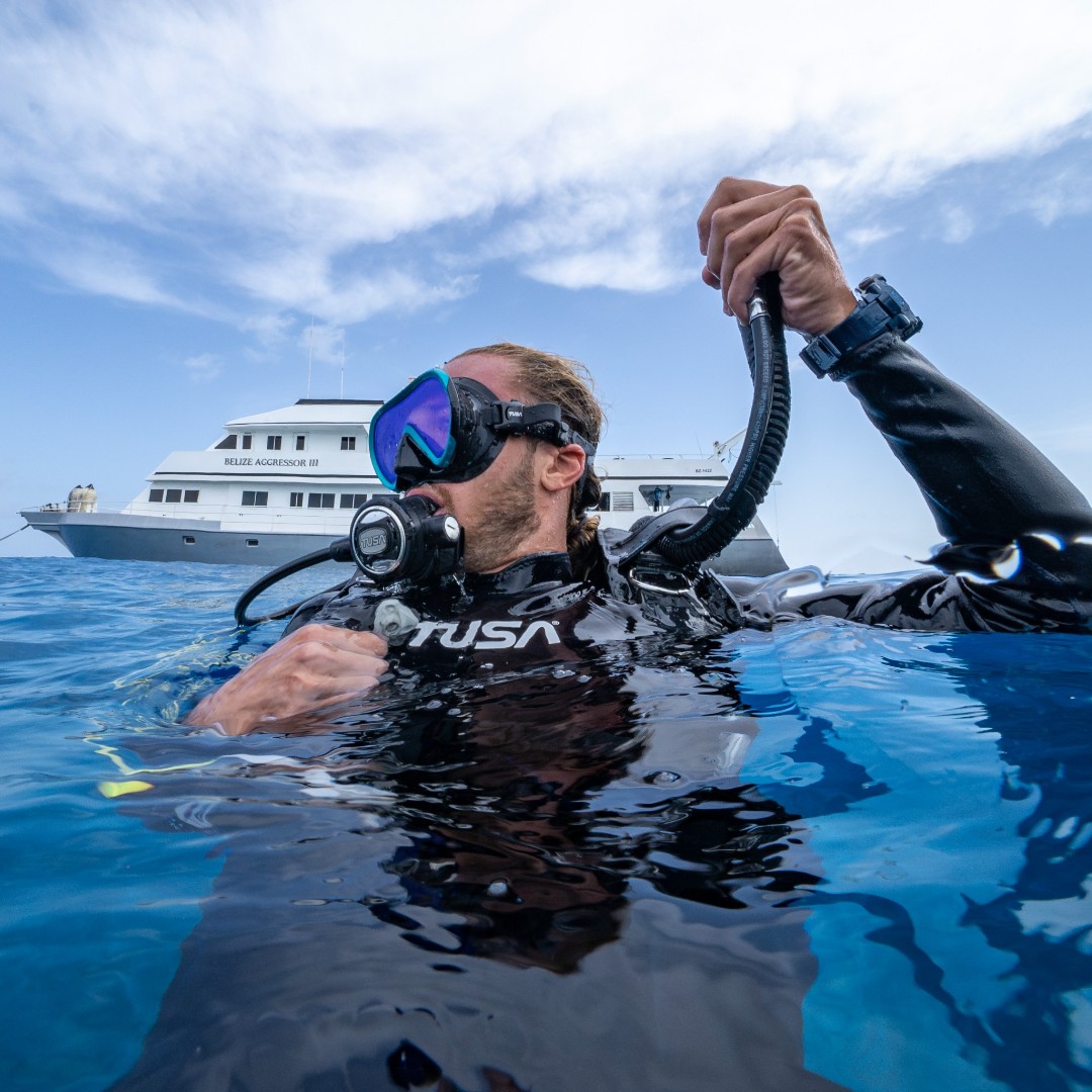 TUSADiving's tweet photo. All aboard the @aggressorliveaboards! 🛳️

...

#TUSA #TeamTUSA #liveaboards #Belize #divebelize https://t.co/E4gmUFJB4m