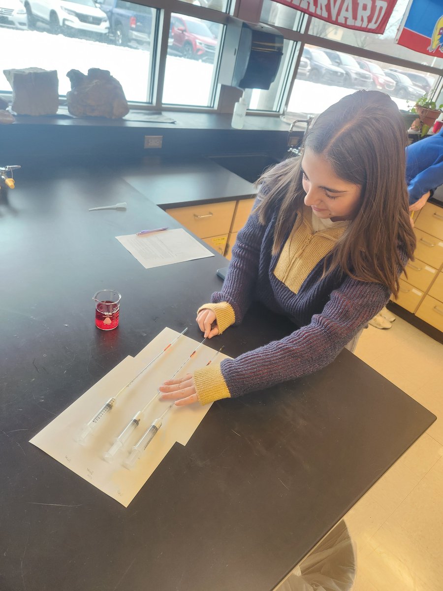 RHSMounties's tweet photo. Mr. Pate's AP Bio class working with paper chromatography.
#pigmentsseparate #APBioROCKS! https://t.co/vkMFUP2451