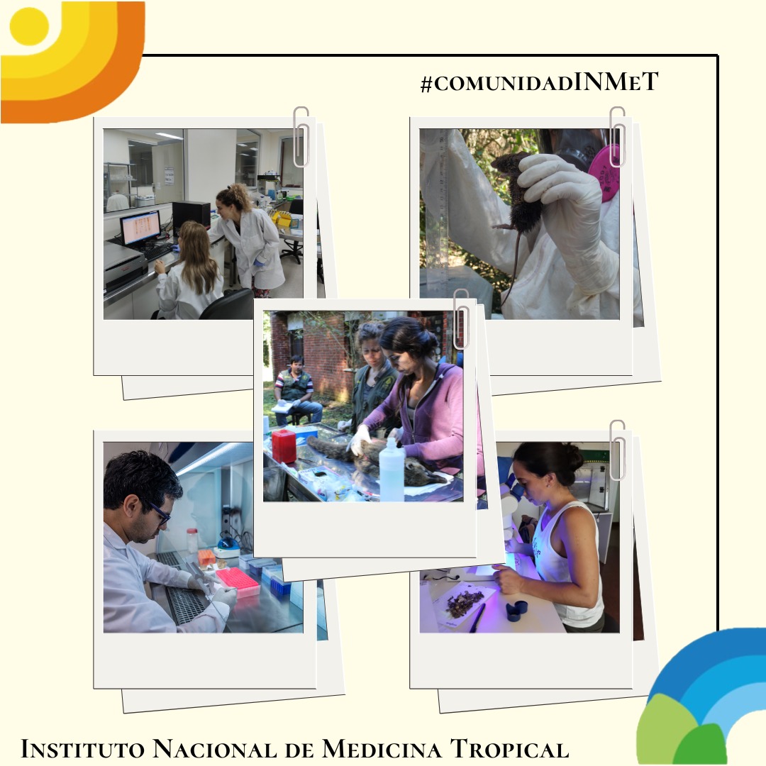 diegojamoreno's tweet photo. 8 de Febrero celebrando 13° Aniversario del Instituto Nacional de Medicina Tropical (INMeT)
#SaludPublica #ComunidadINMeT https://t.co/drDZJbpH5I