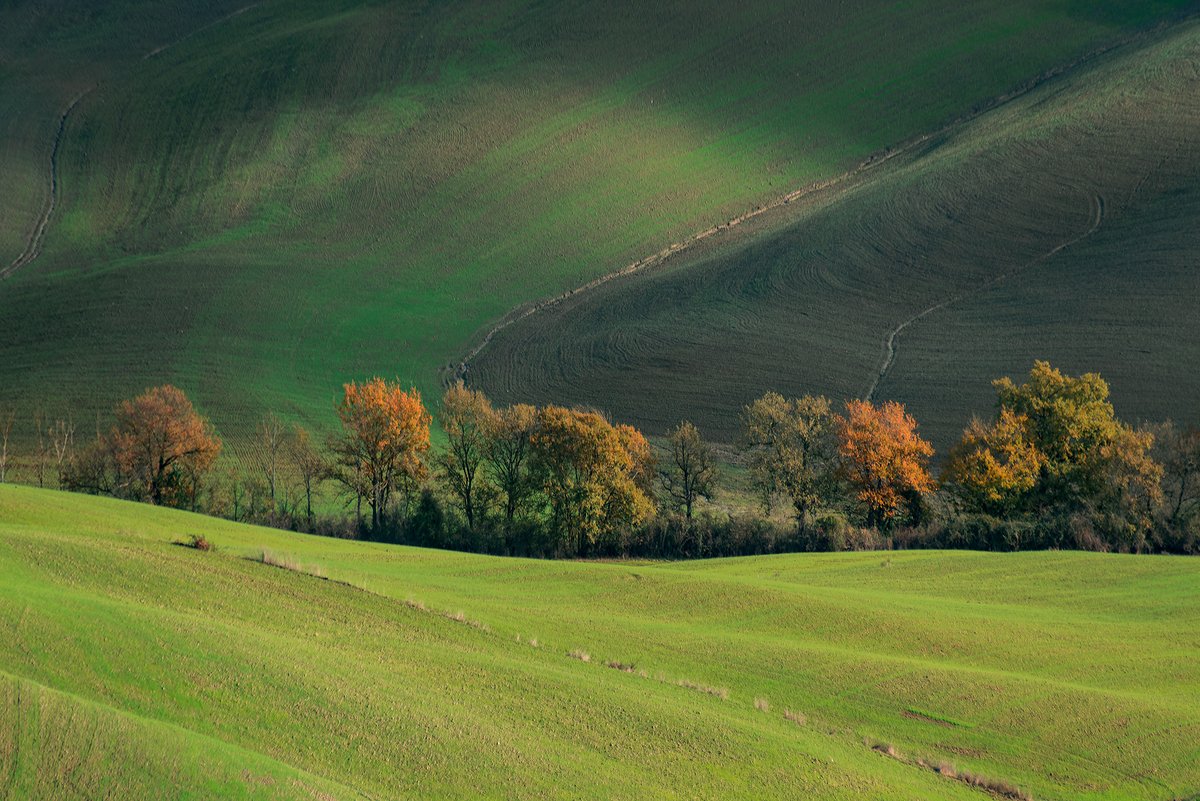 JureYurko's tweet photo. Tuscany https://t.co/z3BaDx0Dsl