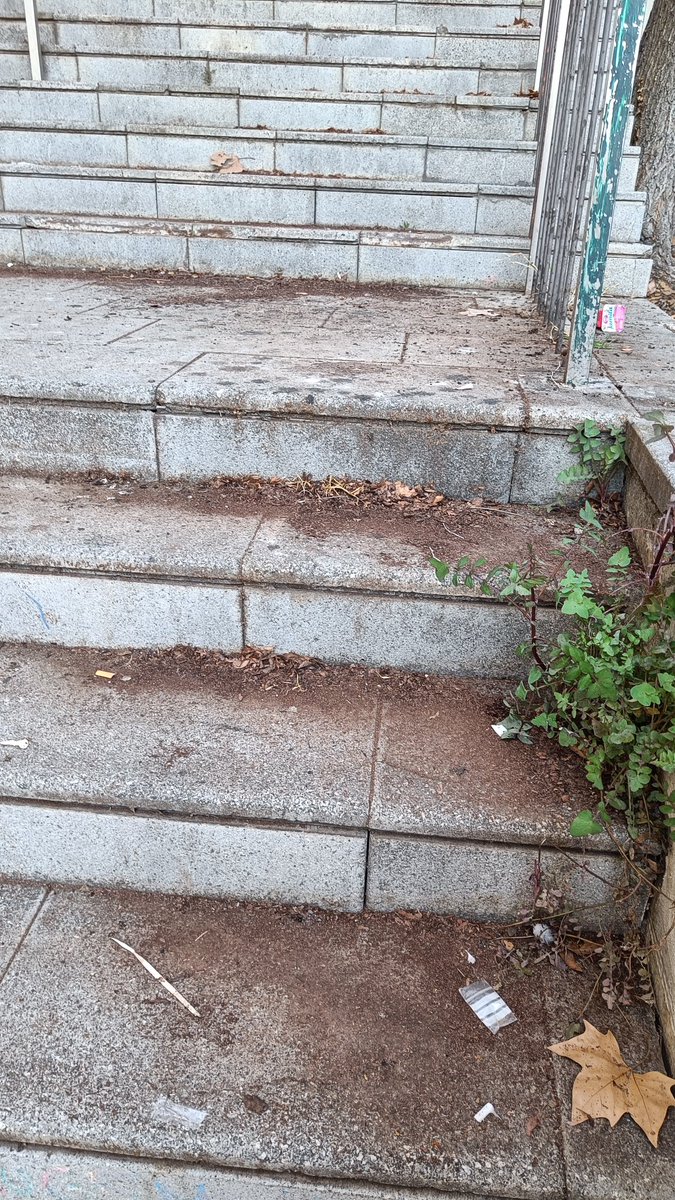 tonaEsteller's tweet photo. Quan vaig o vinc, hi passo molt i mireu @ajigualada @marccastells @jordicuadras molt i molt brutes les escales del Xipreret!!! Fa molts dies!!!🤔 https://t.co/fZ1D5QAcYV