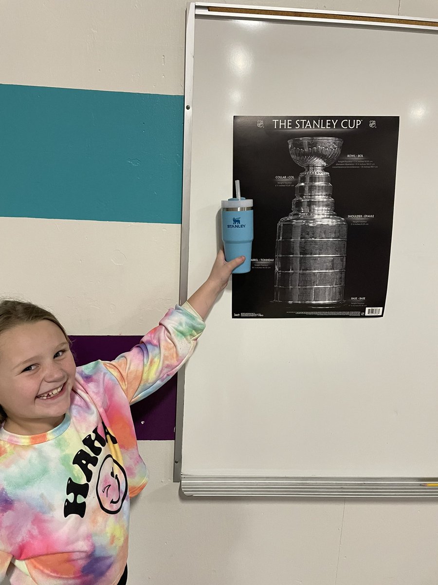 One is a Stanley cup. The other is a Stanley cup.