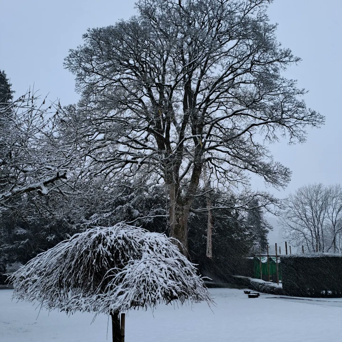 BuckdenHouseOEC's tweet photo. We ended the day with a grand total of 10cm! Onsite activities this morning and a tour of a hidden gem - Buckden Beck and waterfall - this afternoon. Super effort by all the children given the conditions. #resilience and #perseverance https://t.co/ZXAwLhd4qV