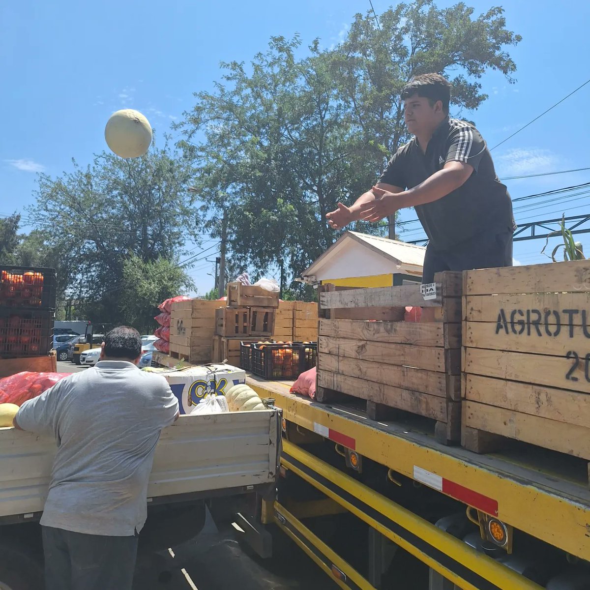 radio_fernanda's tweet image. SAN FELIPE, Asociación de feriantes mayoristas #AFEMA San Felipe viaja ahora a Viña del Mar para entregar colaboración a ollas solidarias.
#IncendioForestal