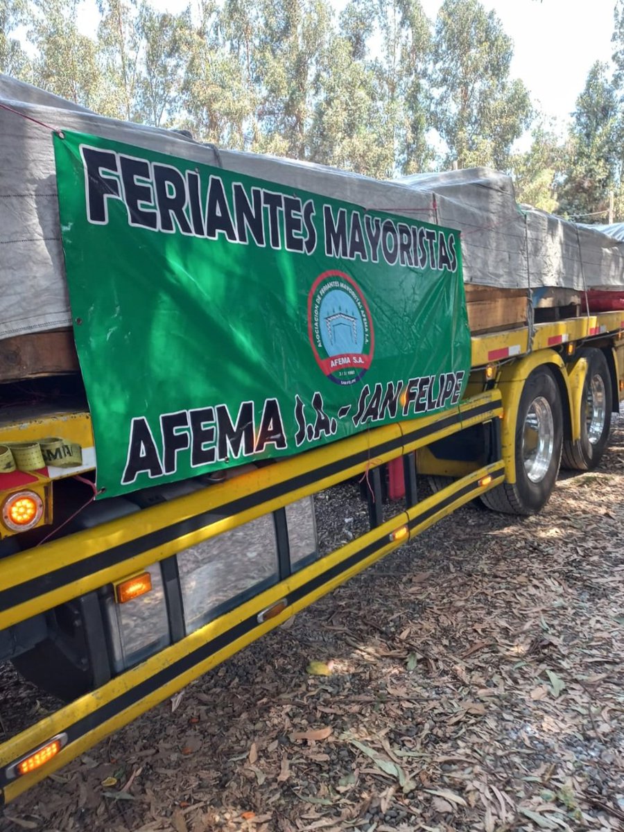 radio_fernanda's tweet image. SAN FELIPE, Asociación de feriantes mayoristas #AFEMA San Felipe viaja ahora a Viña del Mar para entregar colaboración a ollas solidarias.
#IncendioForestal