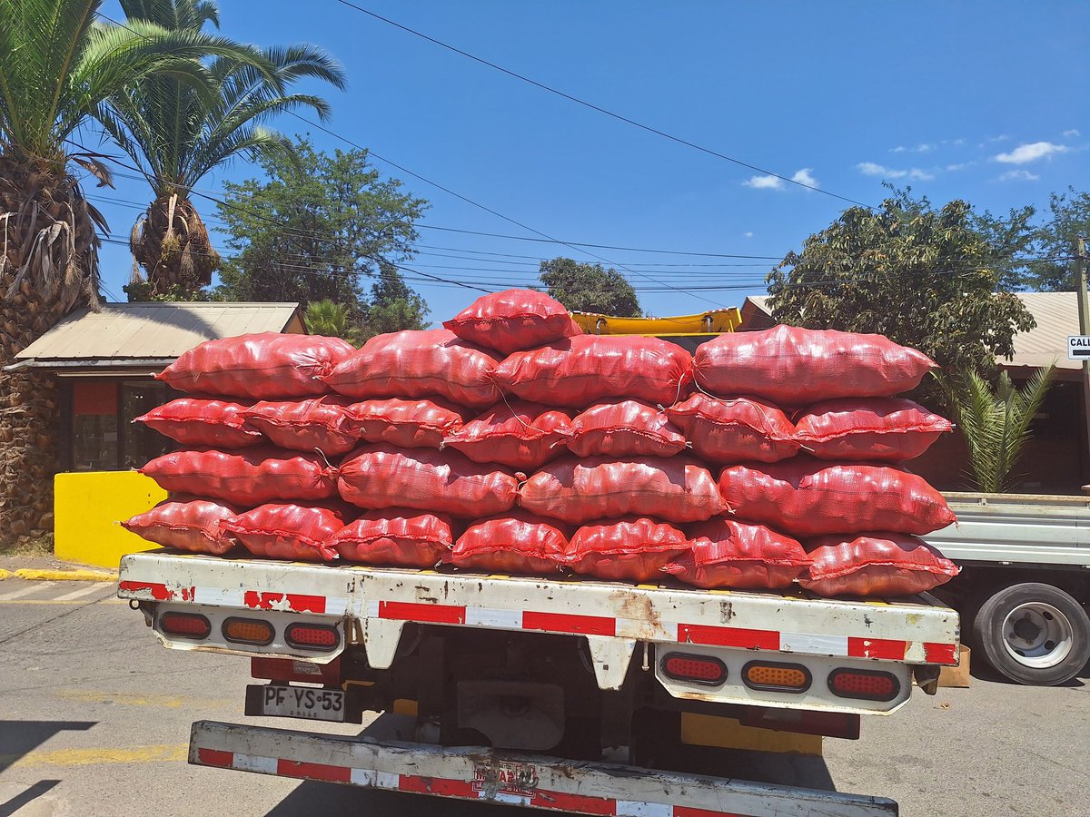 radio_fernanda's tweet image. SAN FELIPE, Asociación de feriantes mayoristas #AFEMA San Felipe viaja ahora a Viña del Mar para entregar colaboración a ollas solidarias.
#IncendioForestal