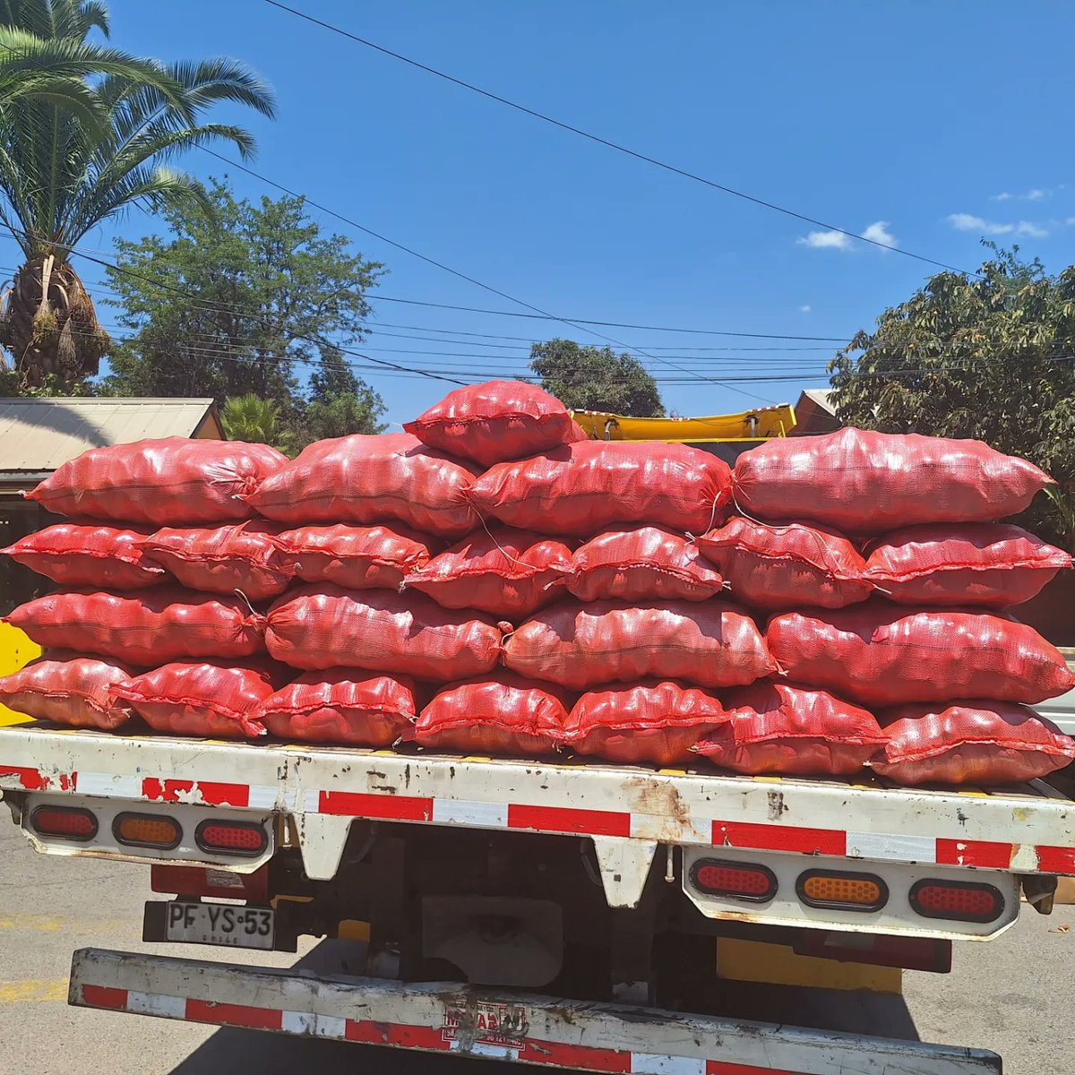 radio_fernanda's tweet image. SAN FELIPE, Asociación de feriantes mayoristas #AFEMA San Felipe viaja ahora a Viña del Mar para entregar colaboración a ollas solidarias.
#IncendioForestal