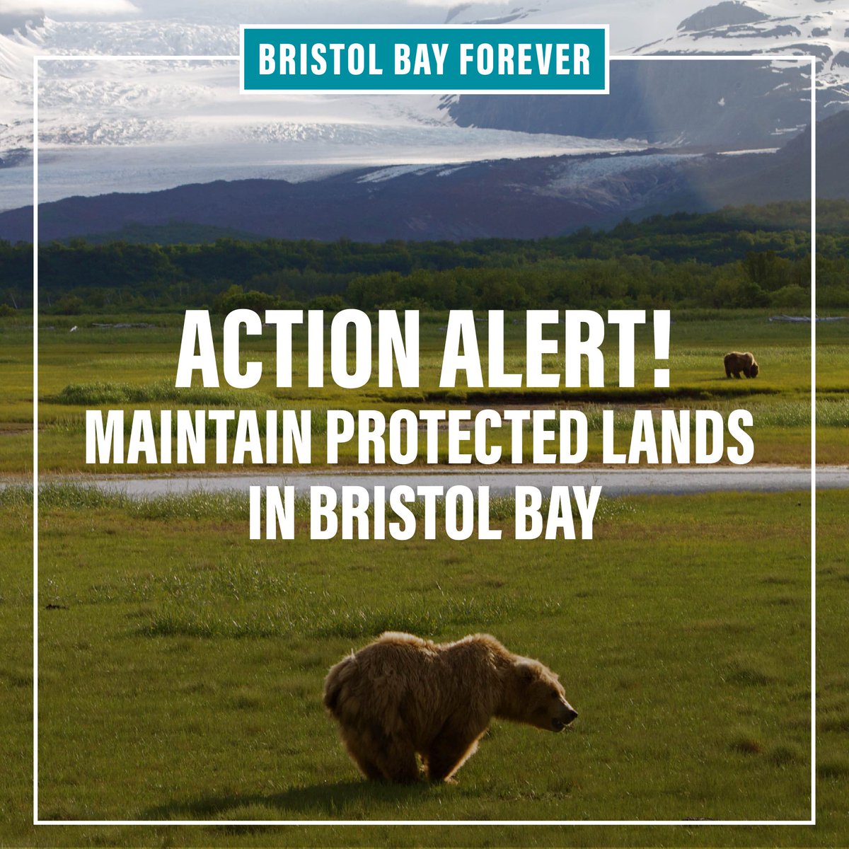 Existing protections for some of the most productive lands and waters in the country are currently under review by the <a href="/BLMNational/">Bureau of Land Management - National</a>, including key salmon habitat in #BristolBay. Tell them we need these protections! bristolbayforever.org/blmprotections/