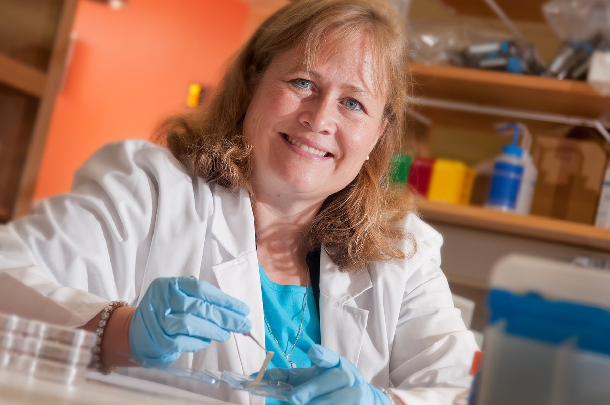 UF BME (@ufbme) on Twitter photo Dive deeper into the incredible achievements of Dr. Christine Schmidt, recently elected to the National Academy of Engineering (<a href="/theNAEng/">National Academy of Engineering</a>)! Discover her groundbreaking work in biomaterials & tissue engineering: news.ufl.edu/2024/02/schmid… Congrats, <a href="/CESchmidt_UF/">Christine E. Schmidt</a>! 🌟 Dive deeper into the incredible achievements of Dr. Christine Schmidt, recently elected to the National Academy of Engineering (<a href="/theNAEng/">National Academy of Engineering</a>)! Discover her groundbreaking work in biomaterials & tissue engineering: news.ufl.edu/2024/02/schmid… Congrats, <a href="/CESchmidt_UF/">Christine E. Schmidt</a>! 🌟