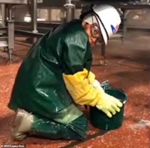 Tyson Foods investors just voted against auditing its child labor practices.

Last year a company contractor was caught employing kids as young as 13 in dangerous meat processing plants.

The federal government even launched an investigation. But investors appear unmoved.