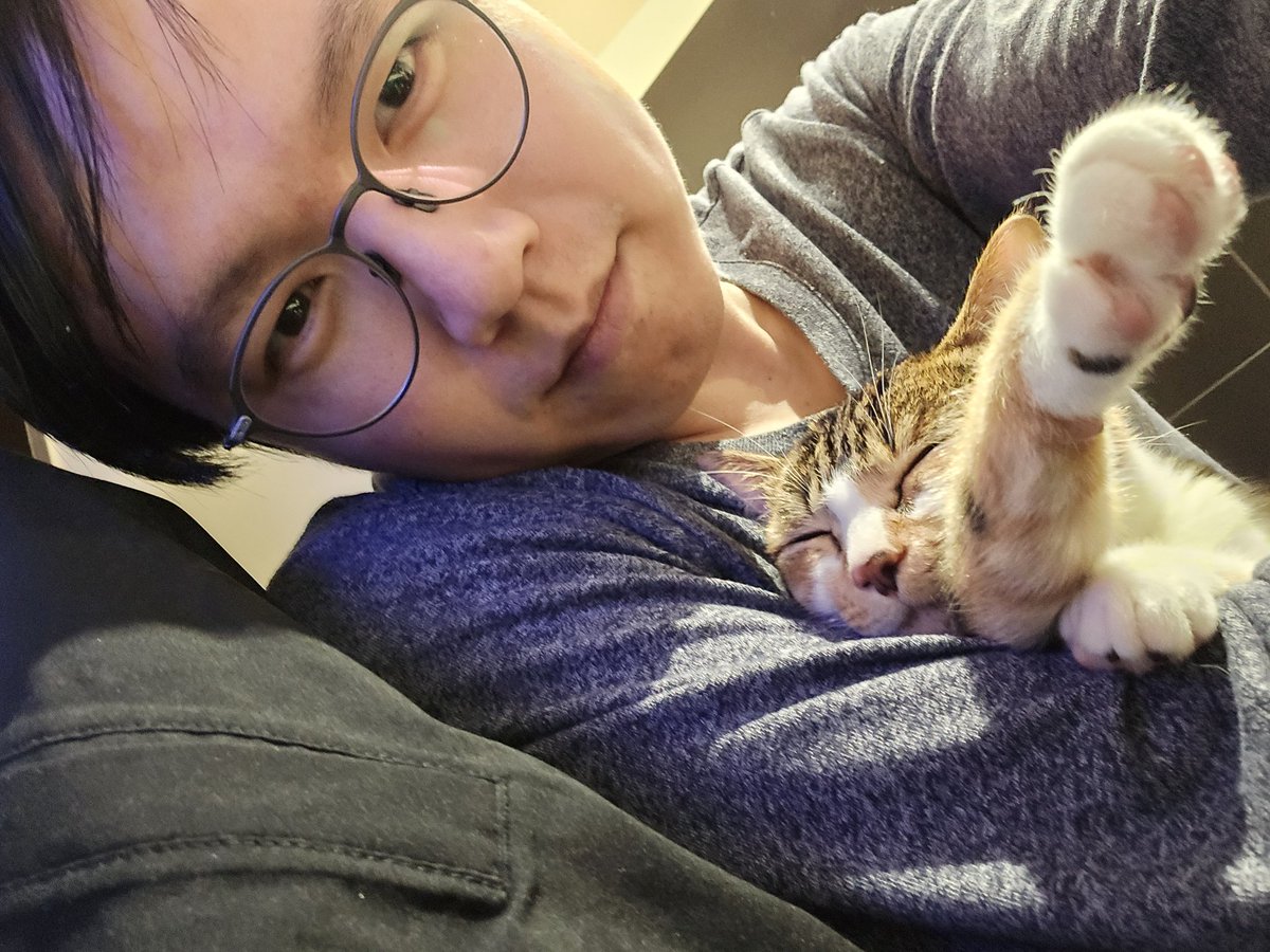WeselyOng's tweet photo. #貓咪 #貓貓 #娜咪貓貓 #伊邪那美貓 #cats #catplay #catvideo #ねこ #ねこのいる生活 #猫 #猫のいる暮らし https://t.co/QvCNc94qFP