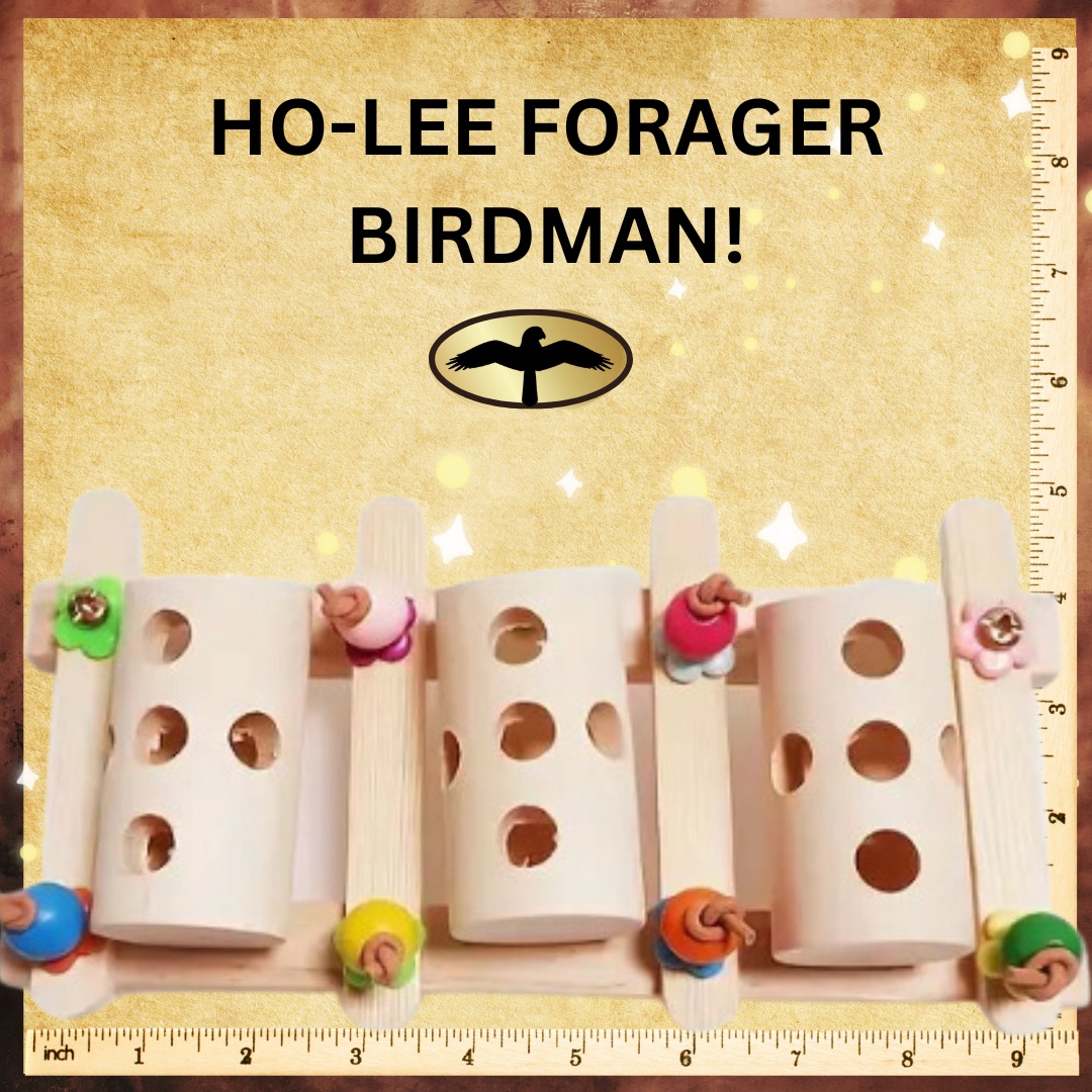 RhondasAviary's tweet image. Hang upside down inside the cage, or upside right on top of the cage to make a play gym. There’s a fun forager. And a finch swing made for sharing! #birdlover #rhondasaviary #birdtoys