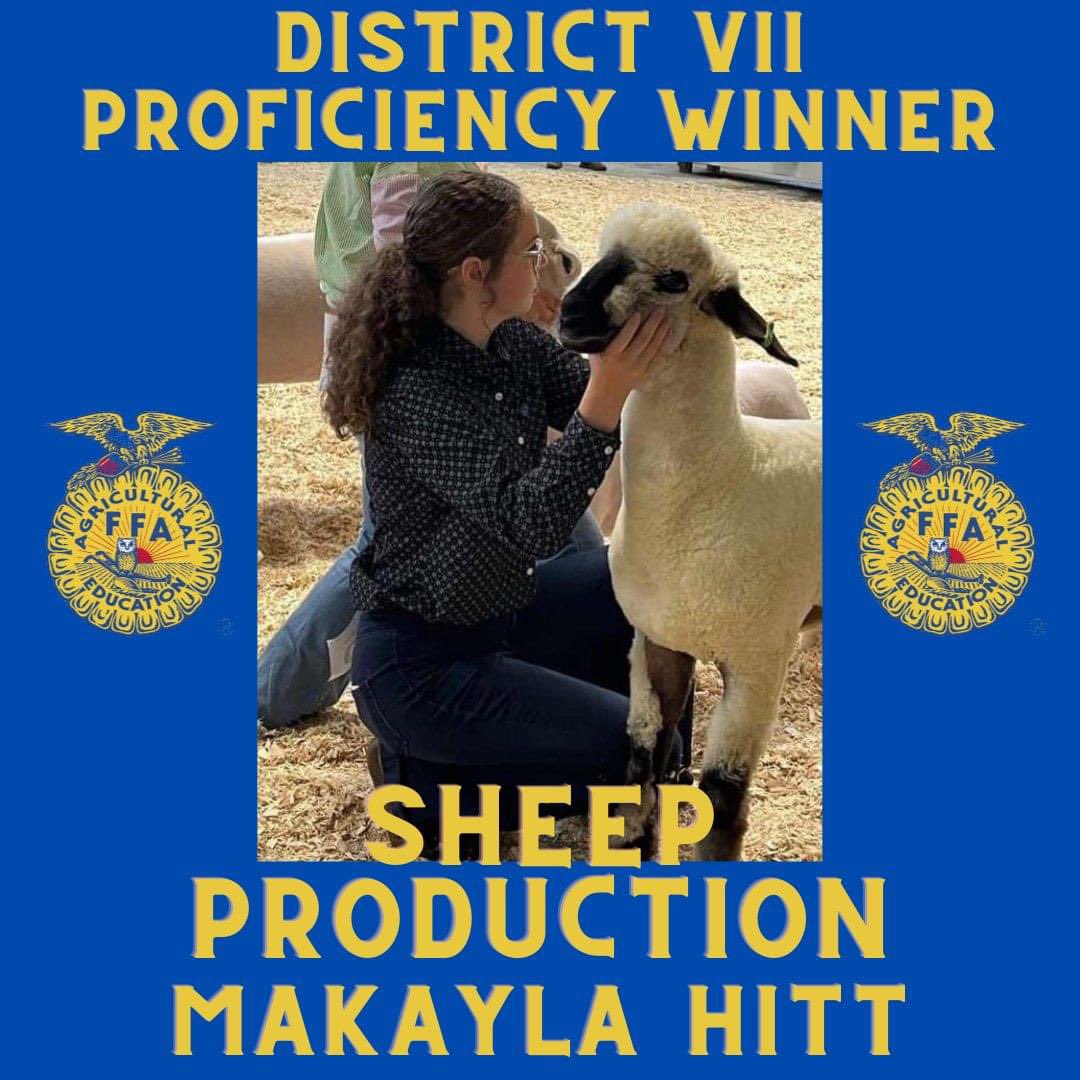 Sullivan FFA Chapter tweet media