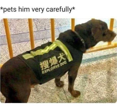 Satan (@s8n) on Twitter photo 