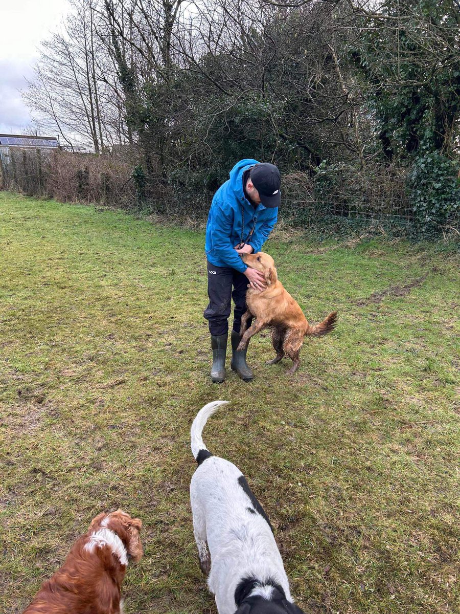 the WRPA tweet media