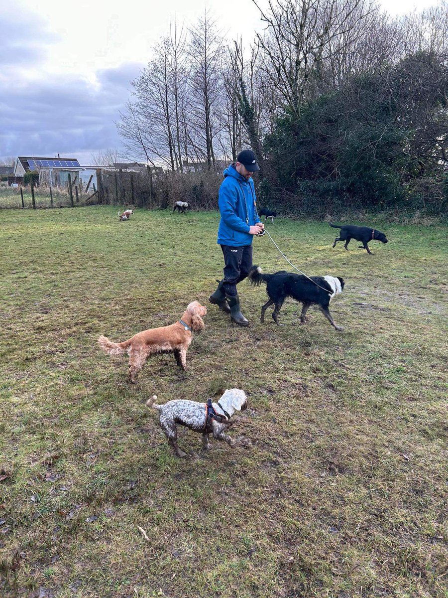 the WRPA tweet media